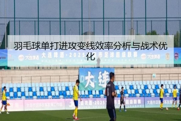 羽毛球单打进攻变线效率分析与战术优化